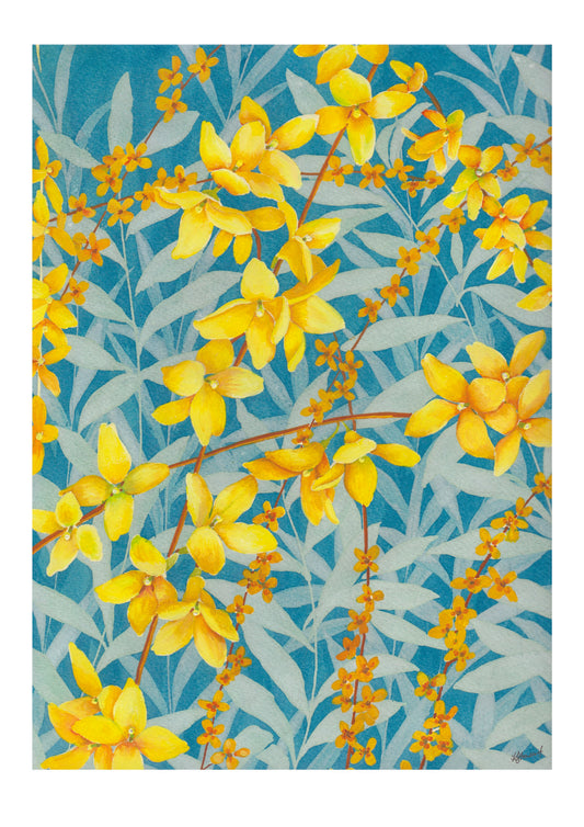 A3/A4 Poster Forsythia on blue