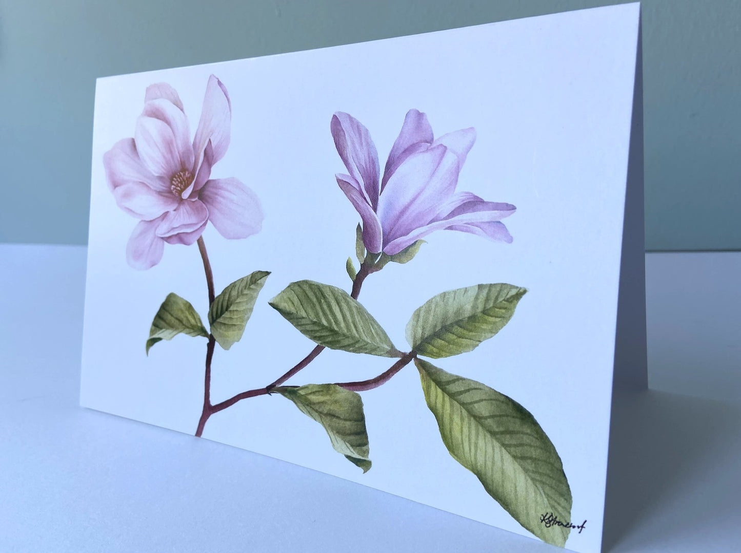 Card Magnolia on white