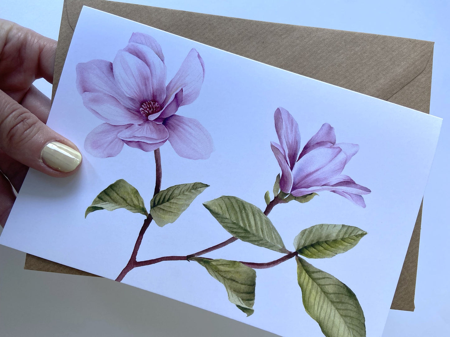 Card Magnolia on white